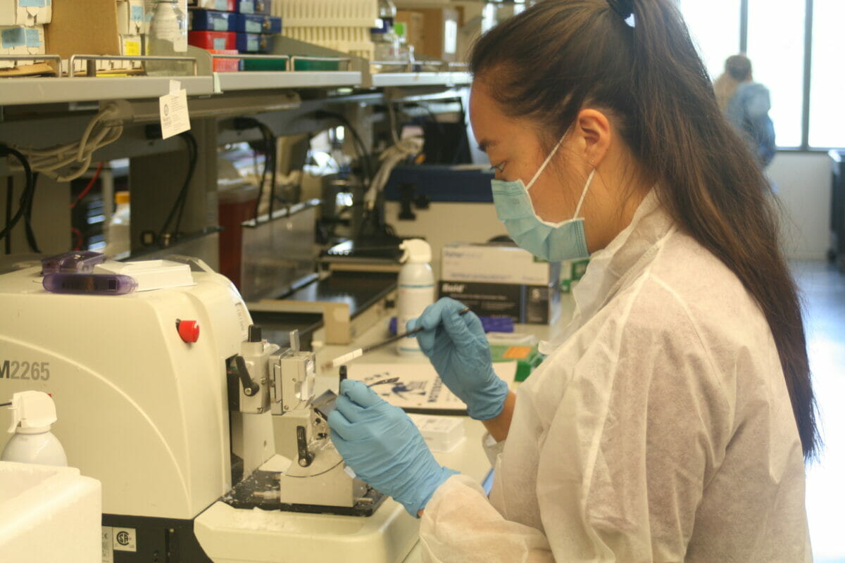 Students researching in a lab