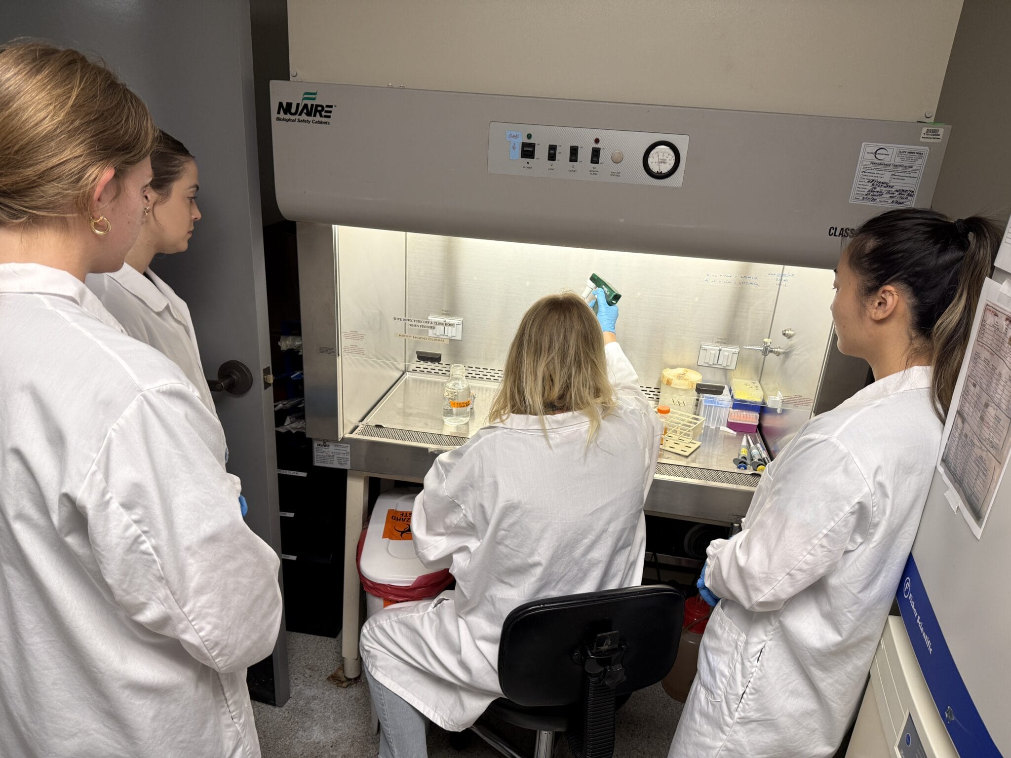 My Document Name Four CVM students in lab coats observe as CVM faculty member Yvonne Drechsler uses a pipette inside a biosafety cabinet in a laboratory setting.