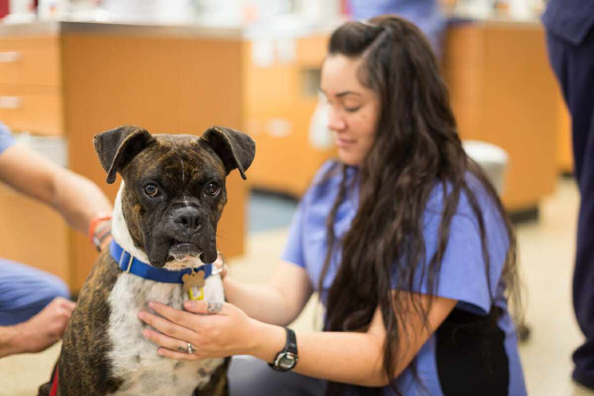 Pet Health Center