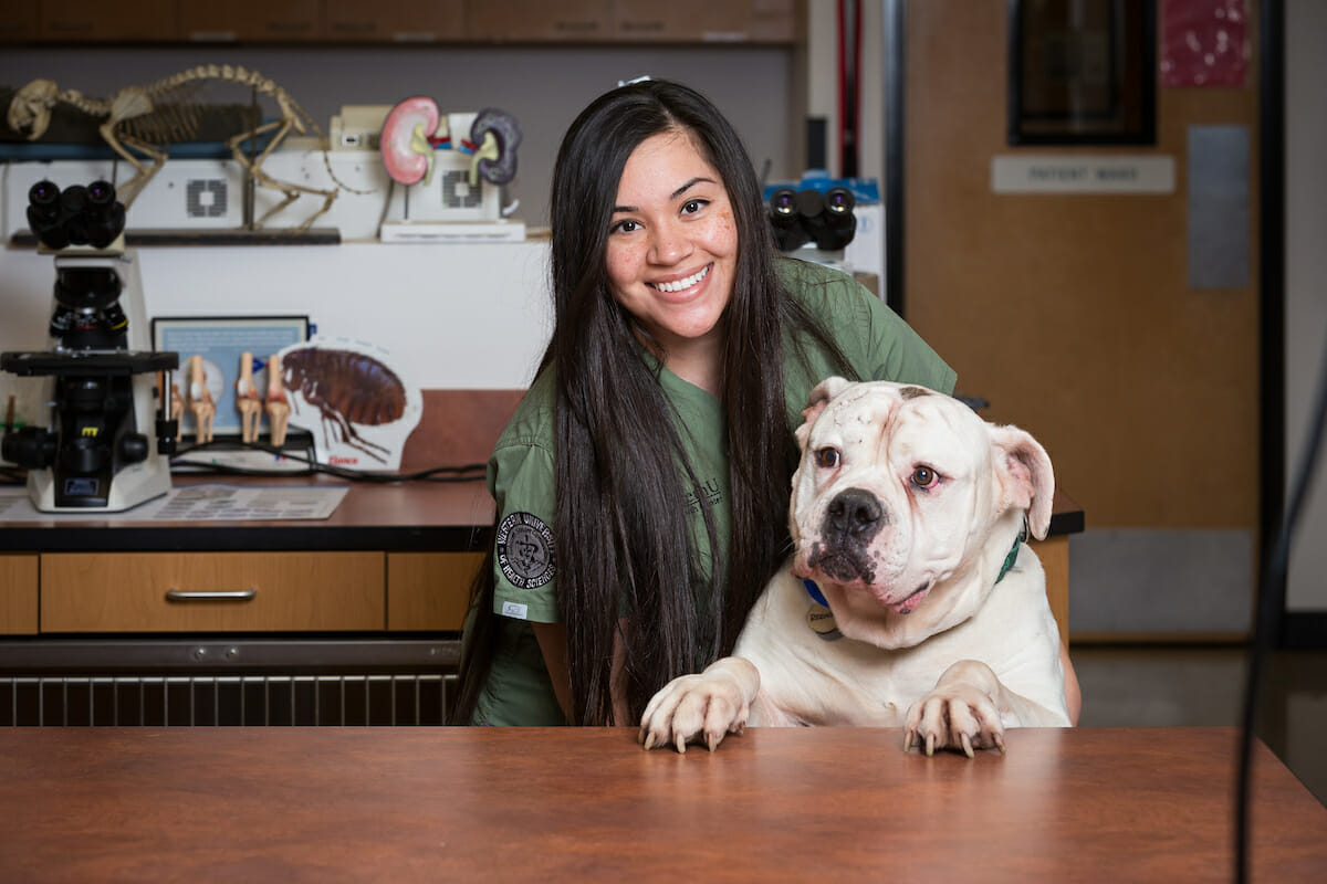 Pet Health Center Staff Portraits