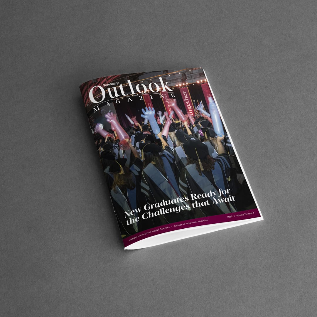 A magazine titled "Outlook Magazine" with a cover photo of graduates in caps and gowns, holding diplomas, and the headline "New Graduates Ready for the Challenges that Await.