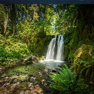 WesternU Oregon - waterfall 