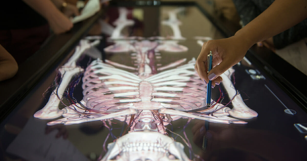 Virtual Reality Learning Center -College of Dental Medicine students use the Anatomage Virtual Dissection Table in the new Virtual Reality Learning Center housed in the Harriet K. and Philip Pumerantz Library at Western University of Health Sciences Friday,