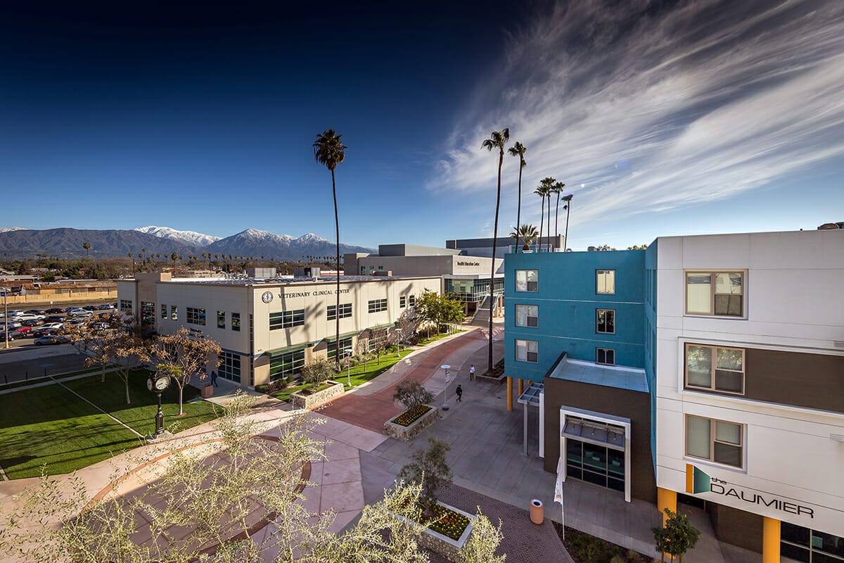 A campus scene with modern buildings and palm trees, mountains visible in the background under a clear sky.