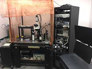 Lacroix Laboratory 1