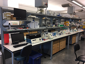Lacroix Laboratory 2