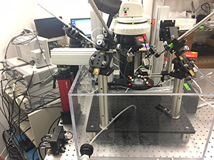 Lacroix Laboratory 3