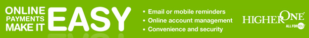 Online Payment