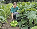 lebanon gardern a student in the lebanon garden
