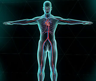 Xray image man Xray image of a aan