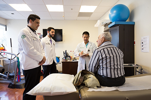 Faculty working in medical setting